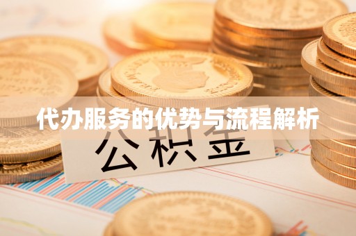 南岸代办服务的优势与流程解析