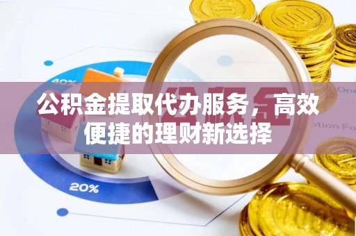 南岸公积金提取代办服务，高效便捷的理财新选择
