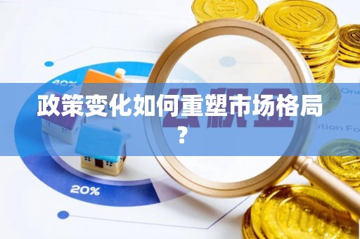 南岸政策变化如何重塑市场格局？