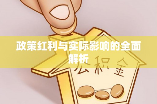南岸政策红利与实际影响的全面解析