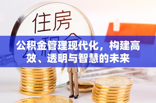南岸公积金管理现代化，构建高效、透明与智慧的未来