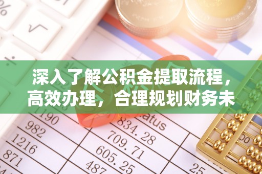 南岸深入了解公积金提取流程，高效办理，合理规划财务未来