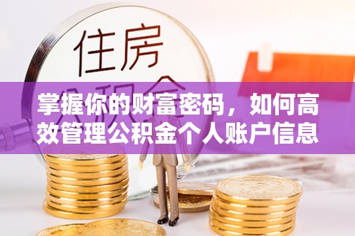 南岸掌握你的财富密码，如何高效管理公积金个人账户信息