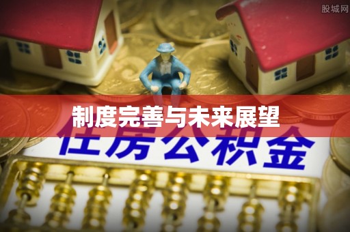 南岸制度完善与未来展望