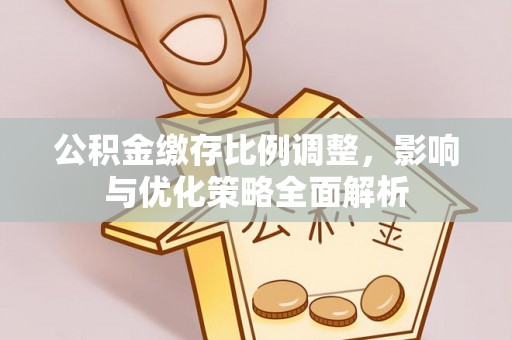 南岸公积金缴存比例调整，影响与优化策略全面解析