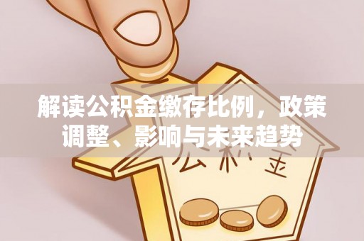 南岸解读公积金缴存比例，政策调整、影响与未来趋势