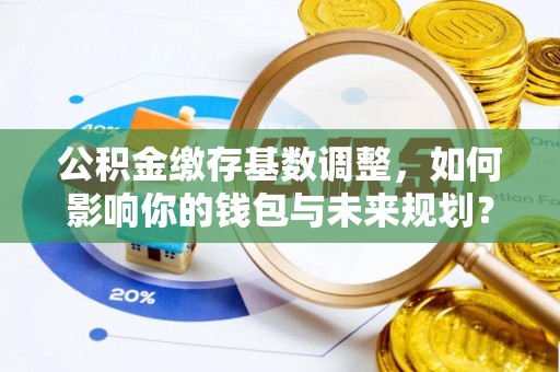 南岸公积金缴存基数调整，如何影响你的钱包与未来规划？