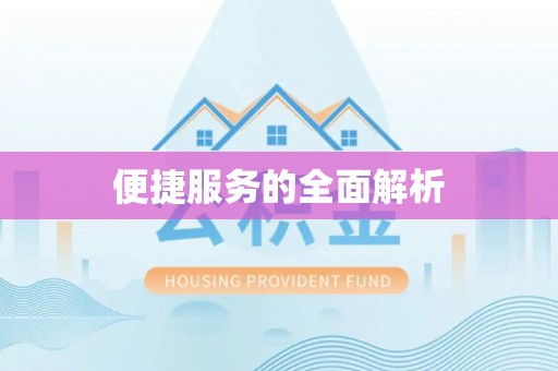 南岸便捷服务的全面解析