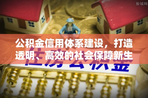 南岸公积金信用体系建设，打造透明、高效的社会保障新生态