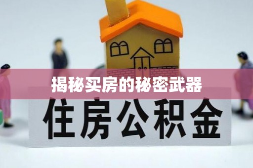 南岸揭秘买房的秘密武器
