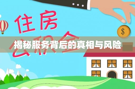 南岸揭秘服务背后的真相与风险