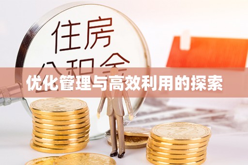 南岸优化管理与高效利用的探索