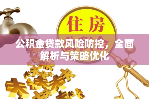 南岸公积金贷款风险防控，全面解析与策略优化
