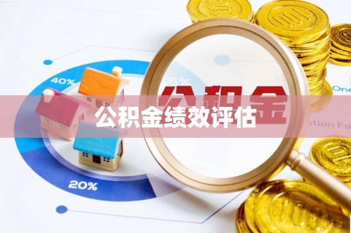南岸公积金绩效评估