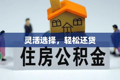 南岸灵活选择，轻松还贷