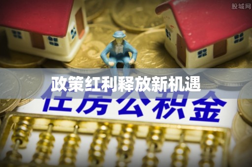 南岸政策红利释放新机遇