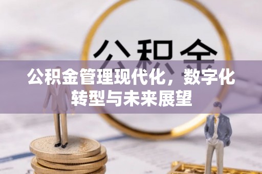 南岸公积金管理现代化，数字化转型与未来展望
