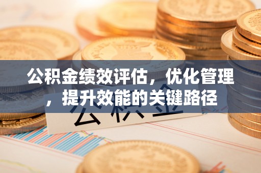 南岸公积金绩效评估，优化管理，提升效能的关键路径