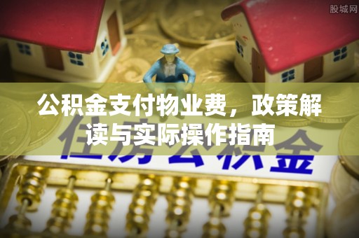 南岸公积金支付物业费，政策解读与实际操作指南