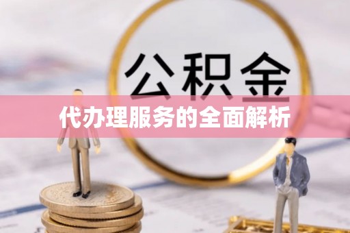 南岸代办理服务的全面解析
