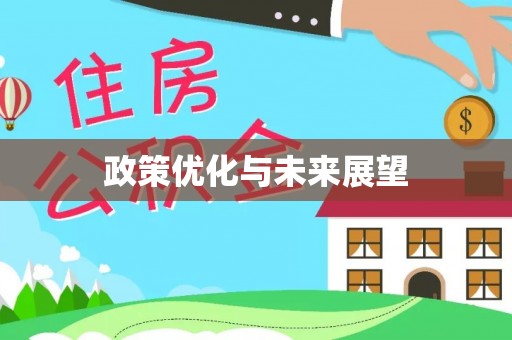 南岸政策优化与未来展望
