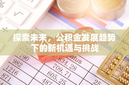 南岸探索未来，公积金发展趋势下的新机遇与挑战
