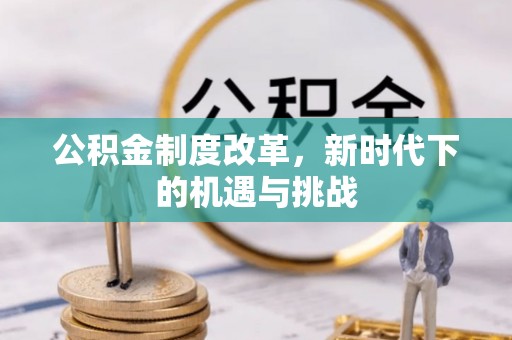 南岸公积金制度改革，新时代下的机遇与挑战
