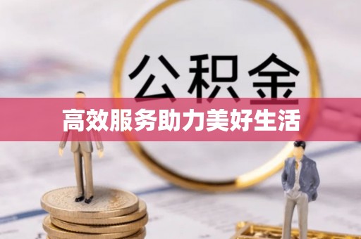 南岸高效服务助力美好生活