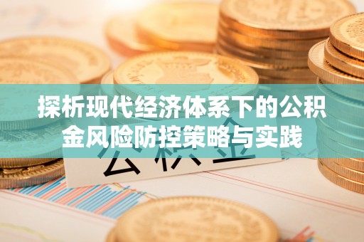 南岸探析现代经济体系下的公积金风险防控策略与实践