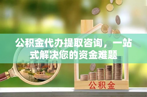 南岸公积金代办提取咨询，一站式解决您的资金难题