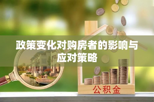 南岸政策变化对购房者的影响与应对策略