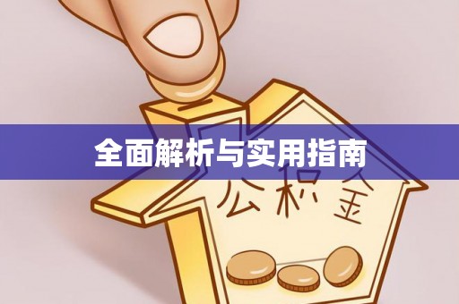 南岸全面解析与实用指南
